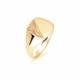 9ct Yellow Gold, Gents Signet Ring, Size V