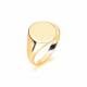 9ct Yellow Gold, Gents Signet Ring, Size T