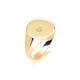 9ct Yellow Gold, Gents Signet Ring, Size U