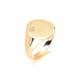 9ct Yellow Gold, Gents Signet Ring, Size W