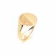 9ct Yellow Gold, Gents Signet Ring, Size T