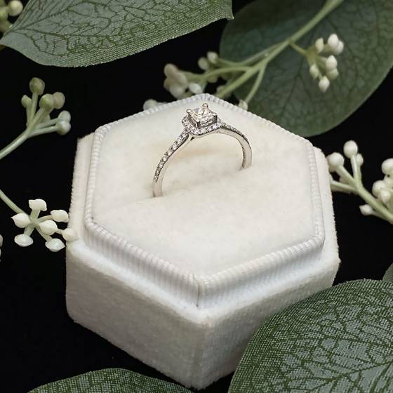 0.37Ct VS2/G Princess/Round Halo Engagement Ring